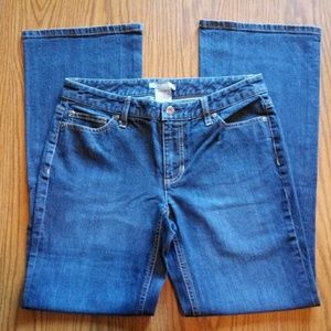 Ann Taylor Slim Fit Denim